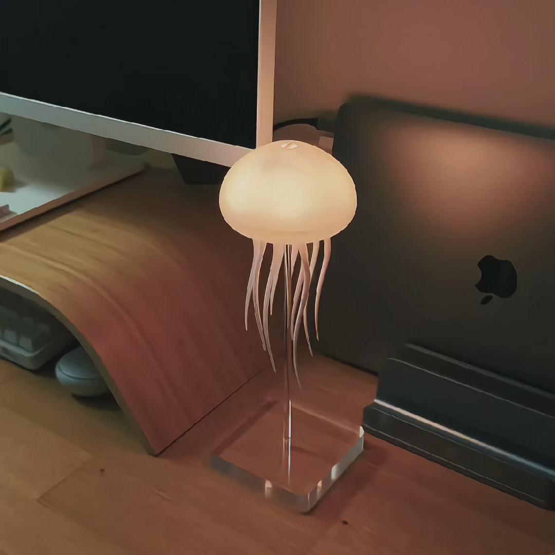 Mr Jellyfish